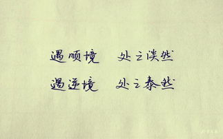 泰然处之的意思解释