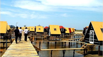 10月4号的唐山衡水天津沧州的天气预报