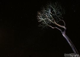 东方不亮西方亮二手玫瑰，东方不亮西方亮憨批啥样你啥样怎么怼回去