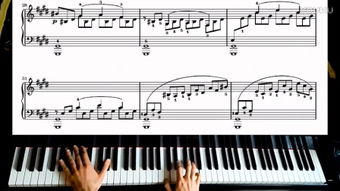 quasi音乐术语什么意思