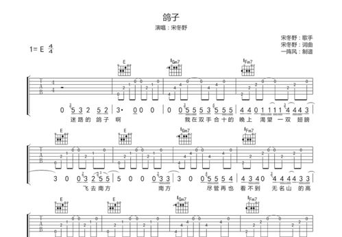 宋冬野鸽子吉他谱txt