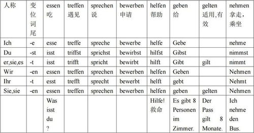 动词变位电影，动词变位表