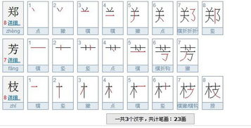 树枝的枝怎么写
