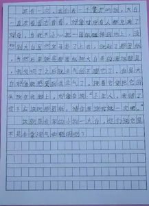 书香校园作文400字