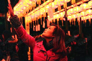 入史册打一字谜，入史册打一字是什么字谜