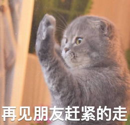 见识短浅的意思解释，见识短浅的意思是银耳刺陵还是井底之蛙