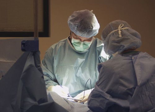 给活人开刀叫什么