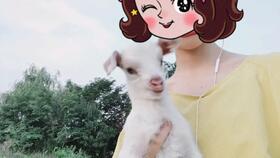 儿孙绕膝的意思是什么