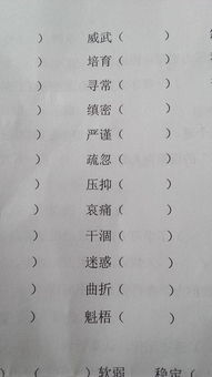 有哪些带有近义词的4字词语?