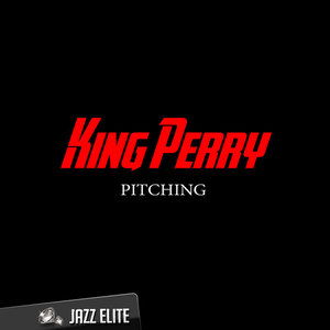 pitching行业用语，pitching翻译