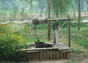 辘轳_的读音辘轳_的读音是什么