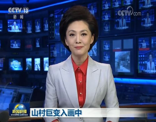 央视一哥康辉在央视近30年还在租房,他的收入怎么样?