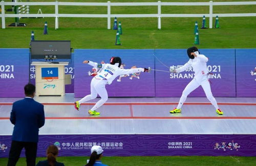 击剑比赛视频，击剑比赛项目按什么分级