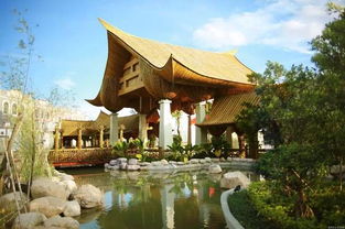 陈皮村营业时间，陈皮村游玩攻略