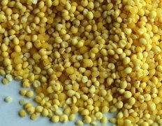 黍米和小米有什么区别，黍米的功效与作用