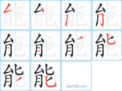 能字笔顺怎么写，能字笔顺怎么写的视频