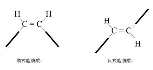 “顺式”和“反式”是什么意思?