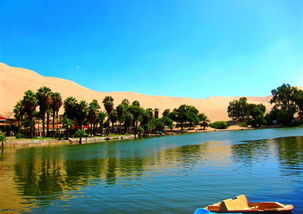 绿洲是什么意思