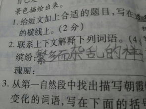 瑰的意思，巍峨瑰丽的意思