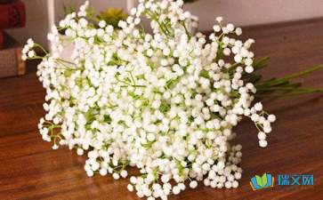 满天星作文300字，满天星作文800字托物言志