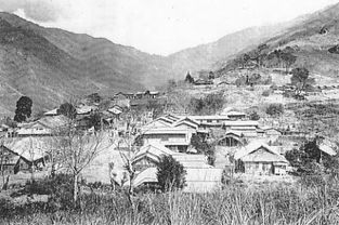 雾社起义，雾社深山天牛