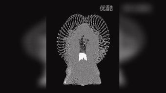 silhouettes of you歌词，silhouettes of you翻译