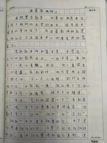 周围的环境作文300字
