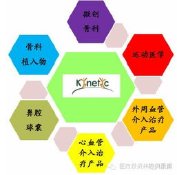 什么是多元化