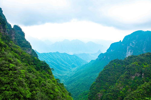 最新优惠政策2022瑶山漂流门票多少钱?