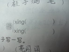 妇组词是什么有哪些，妇组词怎么组