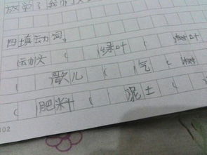 3、填合适的动词1