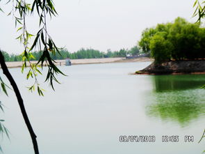 求写春天久雨春晴万象气新春景诗