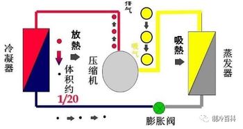 温度有几种表示方法