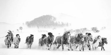 “夜阑卧听风吹雨,铁马冰河入梦来”是谁的诗句
