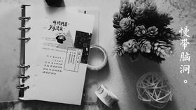 sophist人名，sophistic