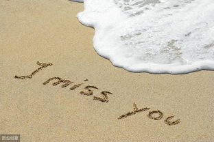 想念的单词想念的单词是什么