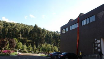 云南艺术学院文华学院专升本学费