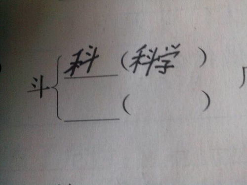 “斗”字可以加什么偏旁?