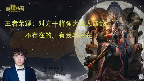 无可匹敌的意思