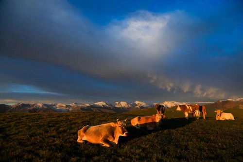 极目远眺的极意思是什么，极目远眺的近义词