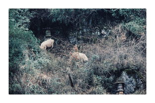 归路百度百科，归路电视剧免费版在线观看全集下载