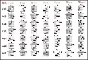 吉他一共有多少和弦啊?听别人说有很多个,没有确切的记载,所有和弦都需 