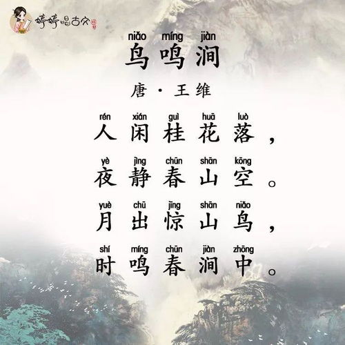 鸟鸣涧的诗意是什么?