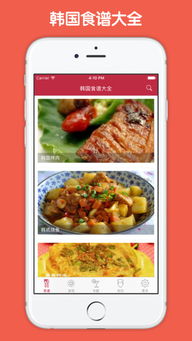 韩国菜谱大全100道菜，韩国菜谱家常菜做法大全