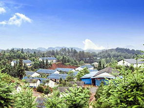 万载天气预报7天，万载天气预报下载