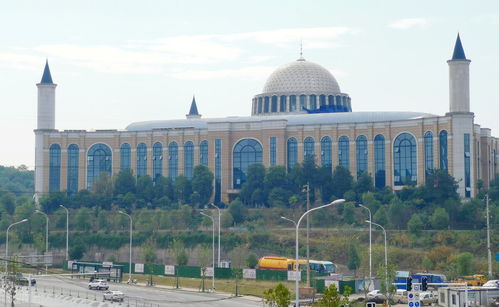 单招湖南学校排名