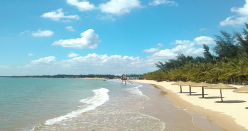 雷州天气预报15天，雷州天气预报15天查询结果