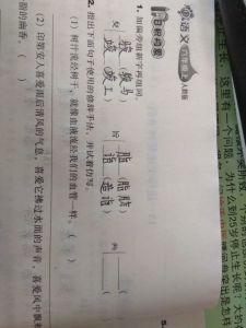 半可以组什么词