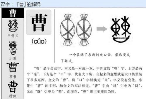 “康”字组词有哪些?