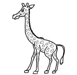 简单长颈鹿怎么画